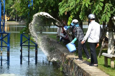 Cơ quan chức năng rắc vôi xuống hồ để xử lý môi trường (Ảnh: TTXVN)