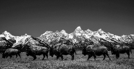 Chuyến đi này của ông được lấy cảm hứng từ Ansel Adams - nhà nhiếp ảnh và nhà bảo tồn thiên nhiên người Mỹ. Ansel được biết tới nhiều nhất qua các tác phẩm ảnh đen trắng khắc họa miền Tây nước Mỹ đặc biệt là Vườn quốc gia Yosemite.