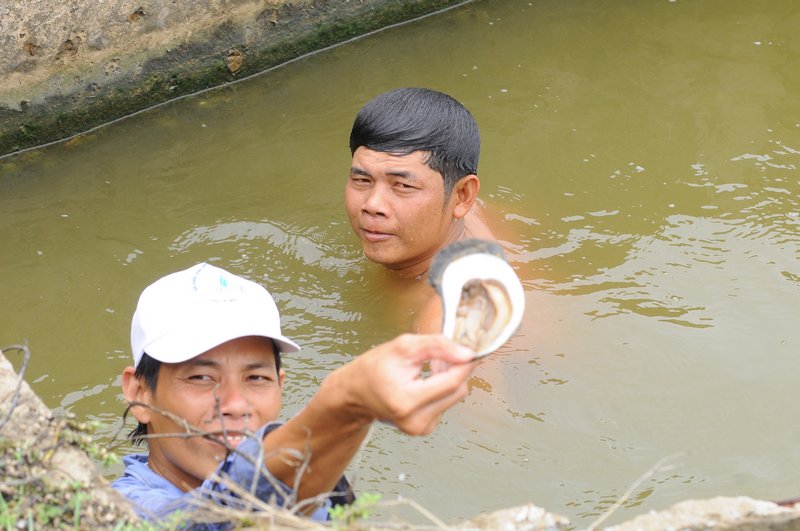 Ở đây có nhiều loài thủy sản nước lợ rất ngon, người dân thường mò bắt hàu đãi khách.