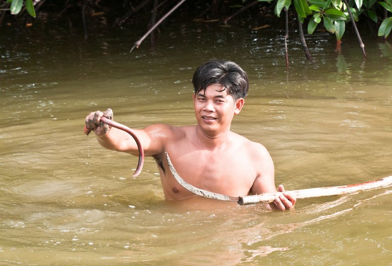 Lịch đỏ, loài này chỉ có ở những vùng nước lợ, đến đây bạn sẽ được người dân bắt lên đãi khách món lịch nướng vô cùng thơm ngon.