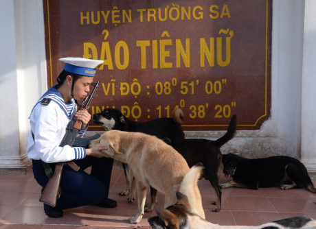 Đảo Tiên Nữ cách đất liền gần 400 hải lý, là nơi duy nhất của Việt Nam đón nhận tia nắng bình minh đầu tiên. Người lính này nhìn thấy mặt trời lên trước đất liền gần một tiếng đồng hồ.