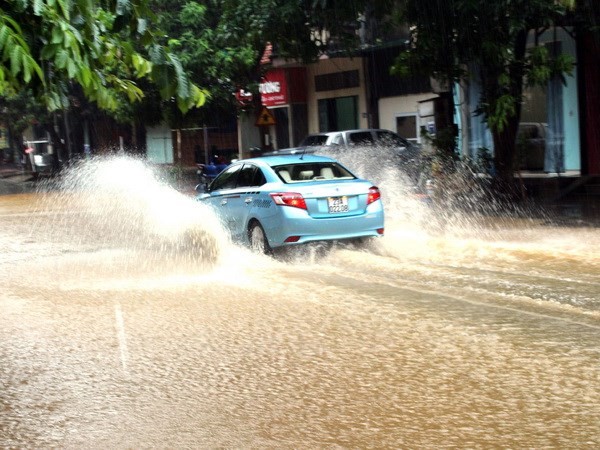  (Ảnh minh họa: Tiến Lâm/TTXVN phát)