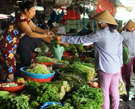 Người tiêu dùng hoang mang trước rừng thông tin thực phẩm bẩn. Ảnh minh họa