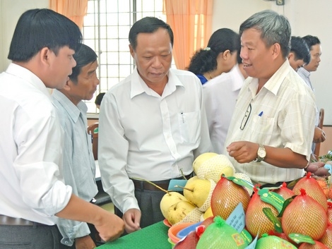 Dù sản lượng lớn nhưng trái cây đồng bằng vẫn yếu thế về chất lượng.