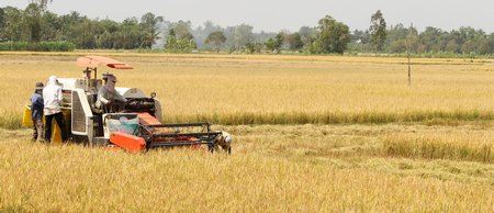 Tăng cường công tác ứng phó, phòng chống thiên tai đảm bảo đời sống và sản xuất nông nghiệp.