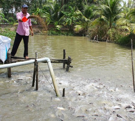 Nhiều đoàn viên thanh niên chí thú làm ăn góp phần phát triển kinh tế địa phương