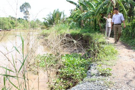 Lở đê ở ấp Đại Nghĩa, bà con lo cho vườn cây ao cá.