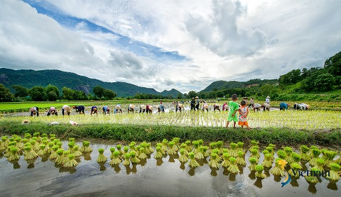 Lê Thế Thắng, Huỳnh Phúc Hậu, Ngô Huy Hòa và Trần Năm Thương là 4 nhiếp ảnh đã đồng hành cùng chương trình truyền hình S-Việt Nam trong nhiều vai trò: đạo diễn hình ảnh, cố vấn, tiền trạm, nhân vật trải nghiệm