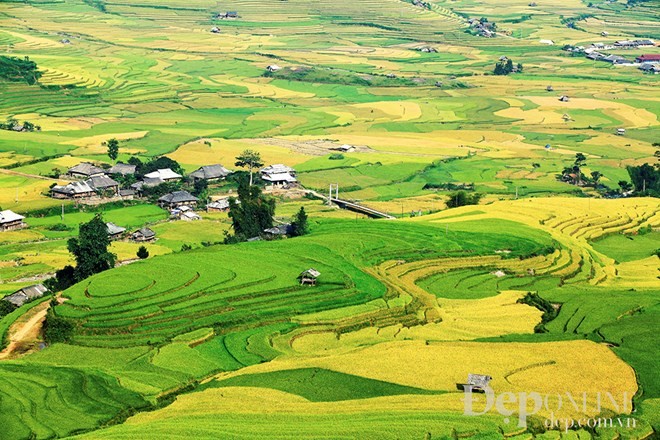 Đừng ngại ngần, hãy sà vào căn nhà ven đường, người Mông vốn rất hiếu khách, bữa cơm mới sẽ khiến bạn không thể nào quên mà cứ muốn ăn mãi không thôi.