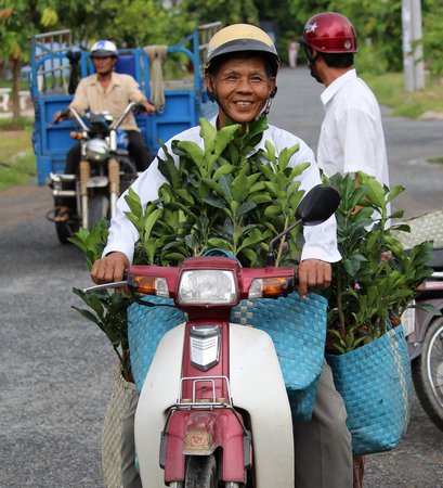 Người dân tham gia dự án nhận cây giống bưởi da xanh về trồng.