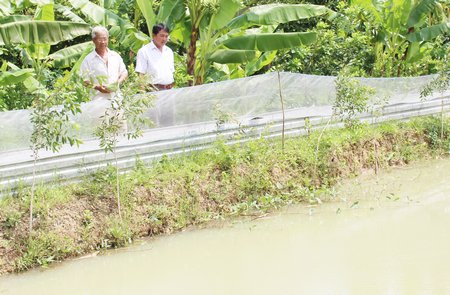 Mô hình nuôi cá hô và cua đinh đang hứa hẹn đem đến cho ông Ngô Hữu Phước (trái) nguồn lợi lớn. Ông luôn tâm niệm: Cả đời phải học ở Bác.