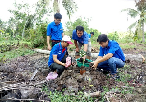 Đoàn viên đã trồng 90 cây bưởi da xanh trên 3,6 công đất vườn của mẹ