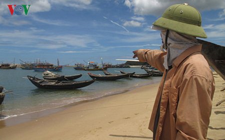 Ngư dân và người tiêu dùng 4 tỉnh Miền Trung lúng túng trong việc đánh bắt và lựa chọn thuỷ sản biển? (Ảnh minh hoạ)