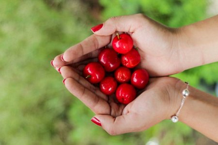 Anh đào: Làm chậm quá trình lão hóa da.