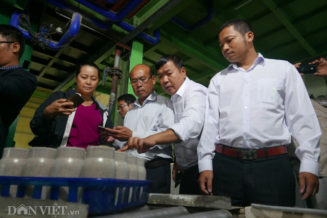 Ngay sau khi nghe giới thiệu về công ty, đoàn công tác đi tham quan các quy trình để sản xuất nấm kim châm .