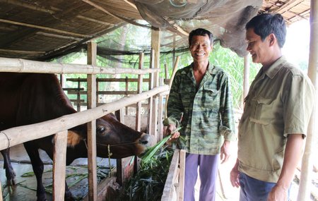 Chú Thạch Siêu khoe: “Đây là con “nái cưng” của tui. Chỉ tui cho ăn nó mới chịu ăn đó!”