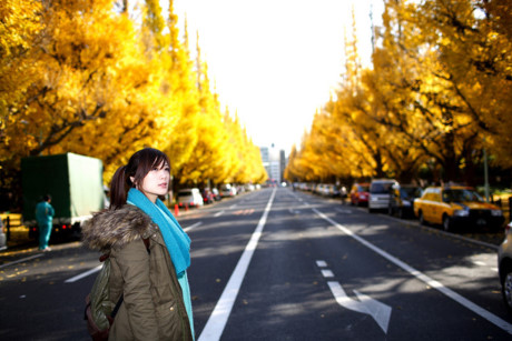 Đại lộ Icho Namiki ở Tokyo vào mùa thu thực sự mang cảnh sắc làm say đắm lòng người khi hai hàng cây bạch quả ven đường thay lá vàng rực và được thắp sáng vảo buổi đêm.