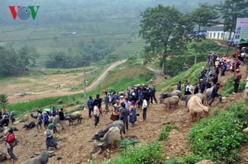 Chợ Cán Cấu còn gọi là chợ trâu