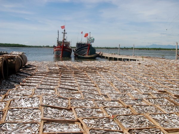 Ảnh chỉ có tính minh họa. (Ảnh: Thanh Thủy/TTXVN)