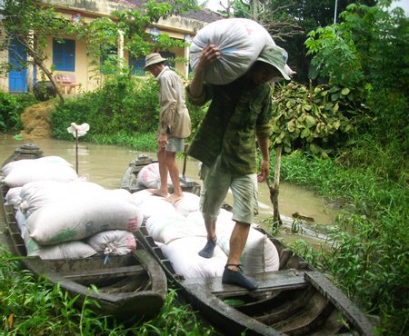 Mưa bão mấy ngày qua ảnh hưởng phần nào chất lượng lúa thu hoạch của nông dân.