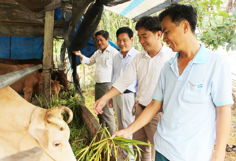 Cán bộ các cấp hội đến tham quan mô hình nuôi bò sinh sản của anh Bảy (bìa phải).