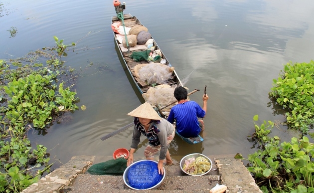 Nhiều bà con ngư dân cho hay thời điểm này, ngày họ có thể kiếm được gần 200.000đ nhờ vào việc đánh bắt cá hay hái bông điên điển.