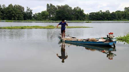  Nước thấp, lượng cá tôm cũng giảm, nhiều người dân sinh sống bằng nghề đánh bắt thủy quanh Búng đã không còn bám trụ được với nghề.