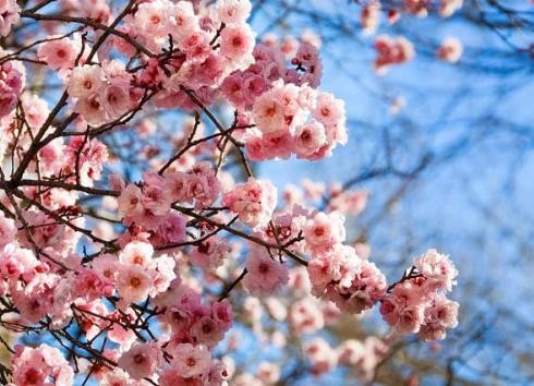 Bộ LĐ-TB-XH nghiêng về phương án nghỉ tết 7 ngày.