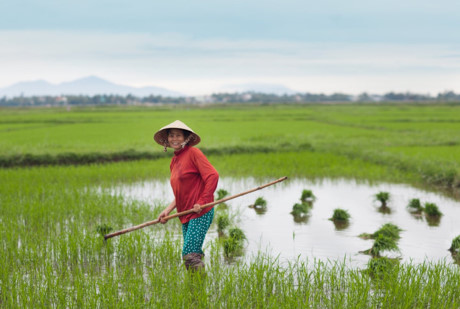 Sara chia sẻ: 