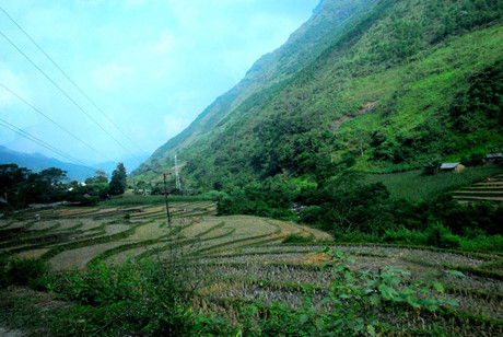 Từ trên cao nhìn xuống sẽ thấy những ruộng bậc thang vừa gặt xong.