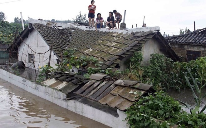 Mưa lũ tại Triều Tiên. (Nguồn: AP)