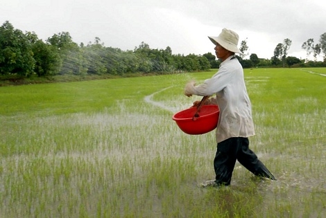 Thời gian qua, cử tri liên tục phản ánh và bức xúc vì phân bón giả tràn lan. Ảnh minh họa