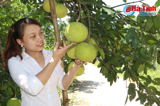 Đặc sản bưởi Phúc Trạch (Hương Khê) – sản phẩm chủ lực của huyện Hương Khê với tổng diện tích 1.800 ha, trong đó 1.200 ha đã cho thu hoạch, sản lượng 19.000 tấn, doanh thu hàng trăm tỷ đồng/năm.