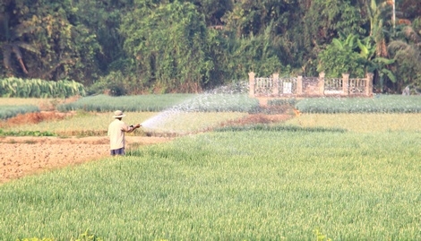 Hiện vẫn còn nhiều chính sách hỗ trợ cho nông nghiệp, nông thôn chưa có sức hút và cần phải chỉnh sửa cho phù hợp. 