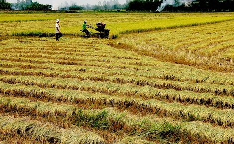 Cần quan tâm, tăng đầu tư vốn, nguồn lực cho nông nghiệp tương xứng và phù hợp với lộ trình phát triển.  