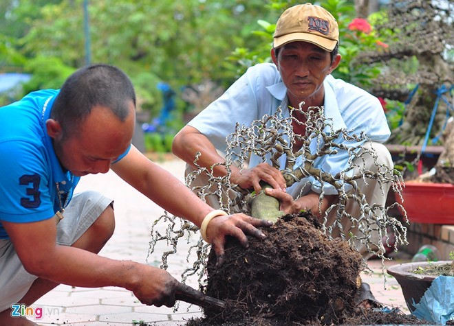 Tại chợ, người yêu sinh vật cảnh có cơ hội giao lưu, trao đổi kinh nghiệm. Chủ một gian hàng nói rằng anh đã mua được nhiều cây đẹp từ những người đồng hành để làm vật cảnh cho riêng mình.   