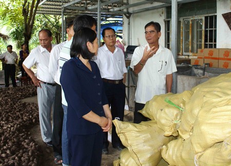 Tham quan đầu mối tiêu thụ khoai lang tại địa phương- Công ty TNHH 1TV Thương mại- Dịch vụ Ngọc Thư Quân   