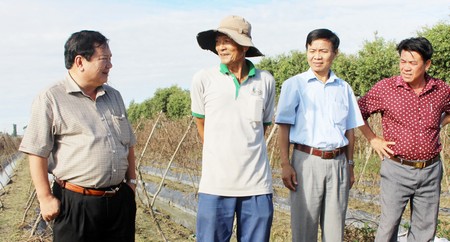  Ông Nguyễn Văn Quang (bìa trái) trao đổi với nông dân ấp An Thới về mô hình trồng dưa leo trên đất ruộng.