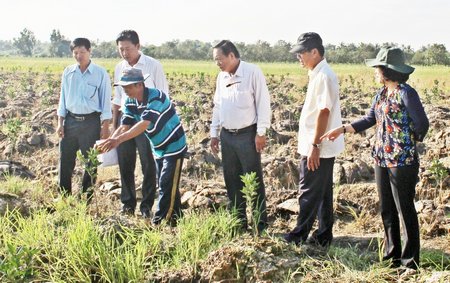 Ông Nguyễn Bách Khoa (thứ 3, bên phải) thăm hỏi tình hình trồng cam với nông dân ở xã Trà Côn. 