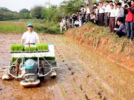 Ảnh minh họa: Trình diễn máy cấy tại huyện Thạch Thất, Hà Nội. (Nguồn: Đình Huệ/TTXVN)