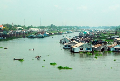 Một góc làng nuôi cá bè trên sông Châu Đốc (An Giang). Ảnh: Mạnh Linh - TTXVN