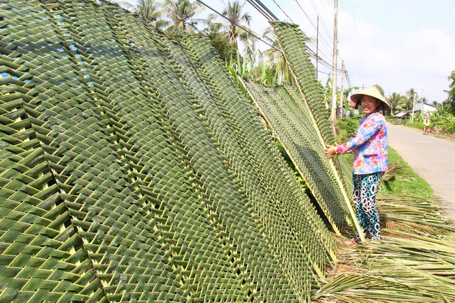 Những chiếc vỉ mới đan chuẩn bị cho mùa bánh tết của gia đình cô Tư Phước.