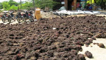 Đống tóc chưa được phân loại tại Myanmar. (Nguồn: Emma Tarlo)