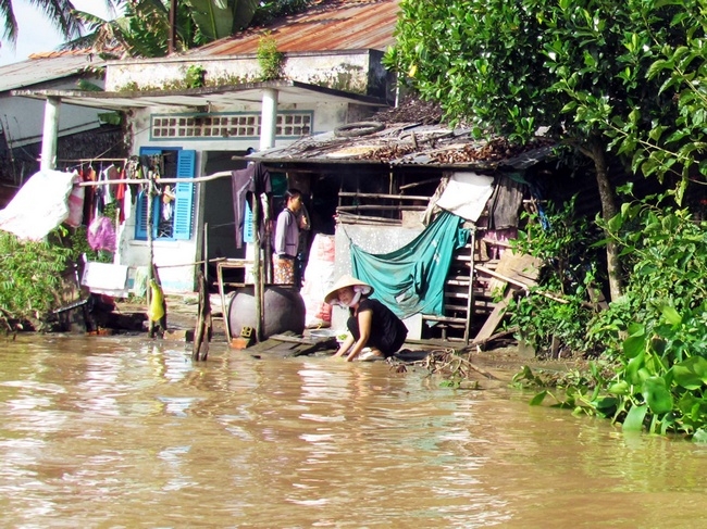 Triều cường, sạt lở đe dọa đến cuộc sống người dân sống cặp sông Hậu.