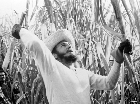 Thủ trướng Fidel đi chặt mía cùng các công nhân năm 1961.