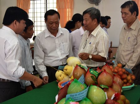 Hầu hết trái cây ở ĐBSCL vẫn còn trong tình trạng “tự sản, tự tiêu”.