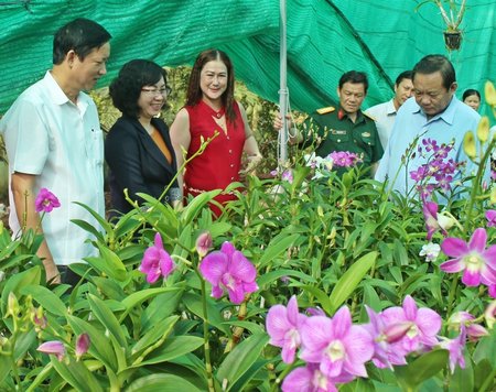 Lãnh đạo tỉnh, thành phố tham quan mô hình trồng lan bước đầu mang lại hiệu quả của chị Thủy (thứ 3 bên trái).