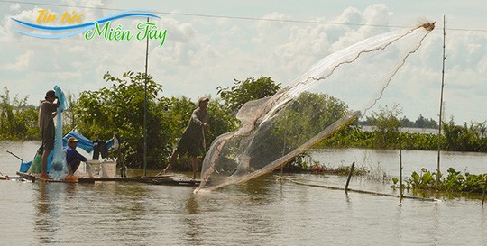 Chài lưới mùa “lũ muộn”