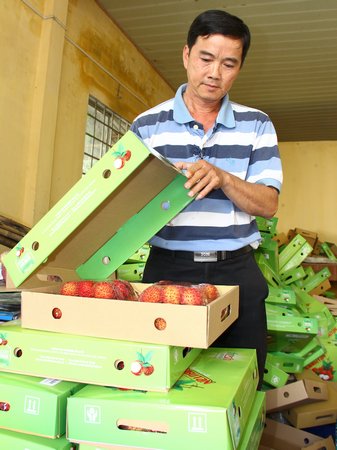 Chôm chôm xuất khẩu được đóng gói tại HTX, quy cách 2 kg/hộp.