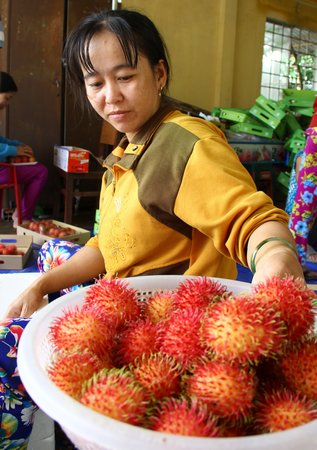 Ngoài tiêu chuẩn GlobalGAP, chôm chôm phải đáp ứng yêu cầu về màu sắc, độ đồng đều.